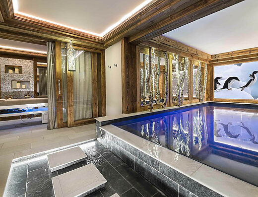Chalet Esther in Courchevel 1300, France