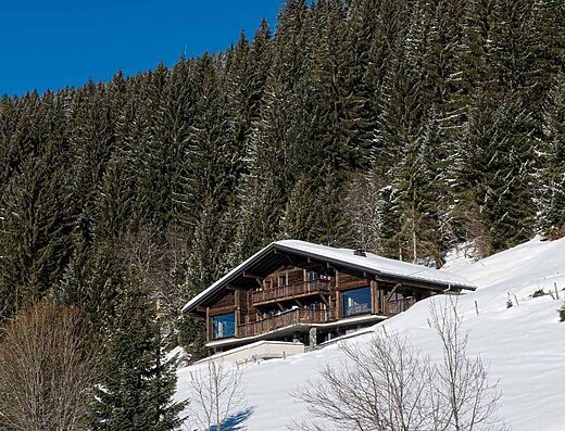 Chalet Yelda in Chatel, France