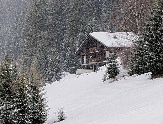 Chalet Yelda in Chatel, France
